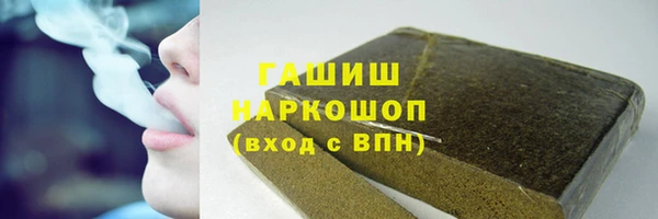 хмурый Арсеньев