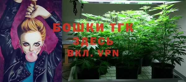 PSILOCYBIN Алексеевка