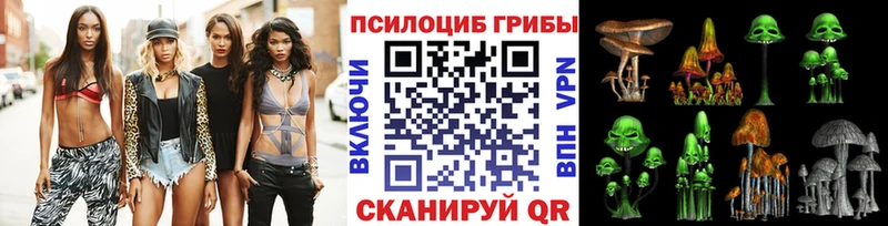 Галлюциногенные грибы GOLDEN TEACHER  где купить   Тайшет 