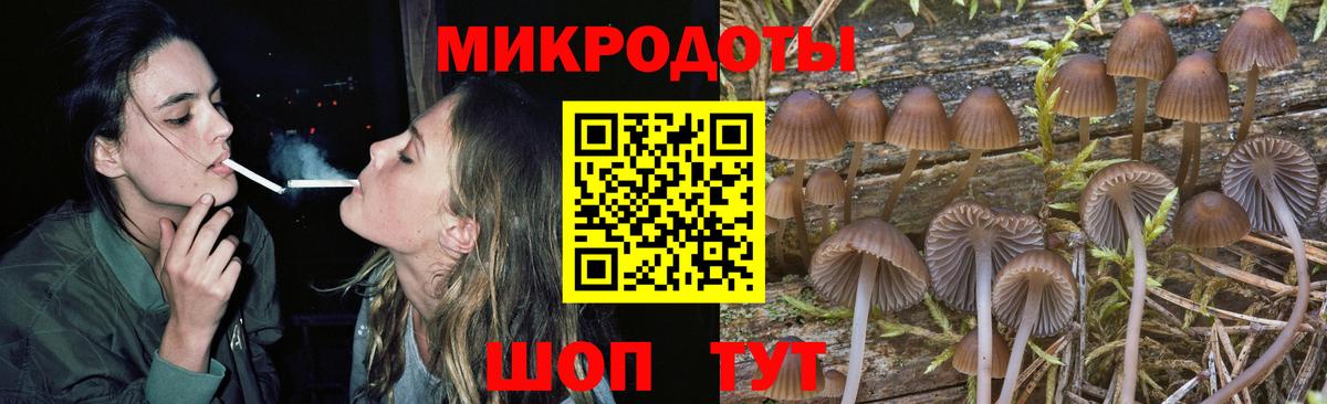 Псилоцибиновые грибы мухоморы Тайшет